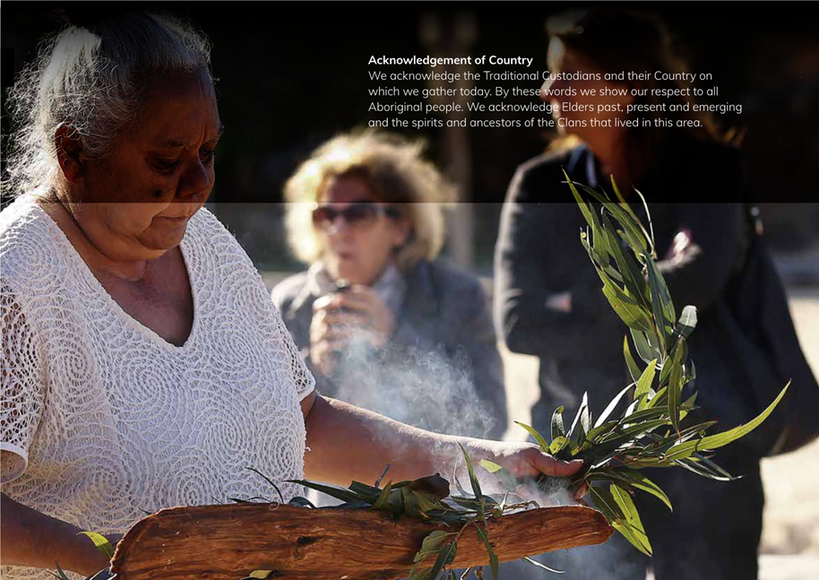 A person holding a plant

Description automatically generated