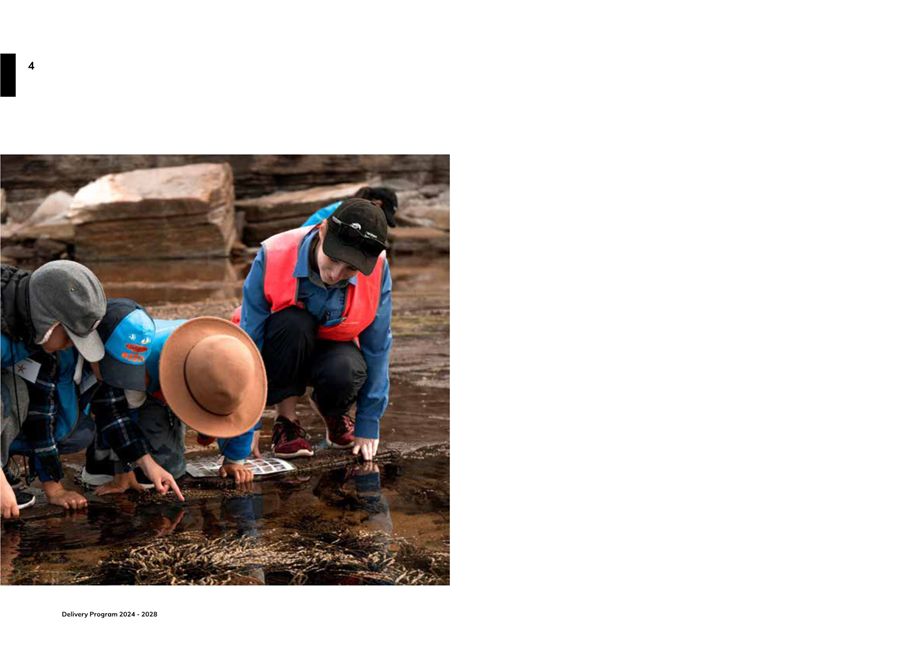 A group of people looking at something in the water

Description automatically generated