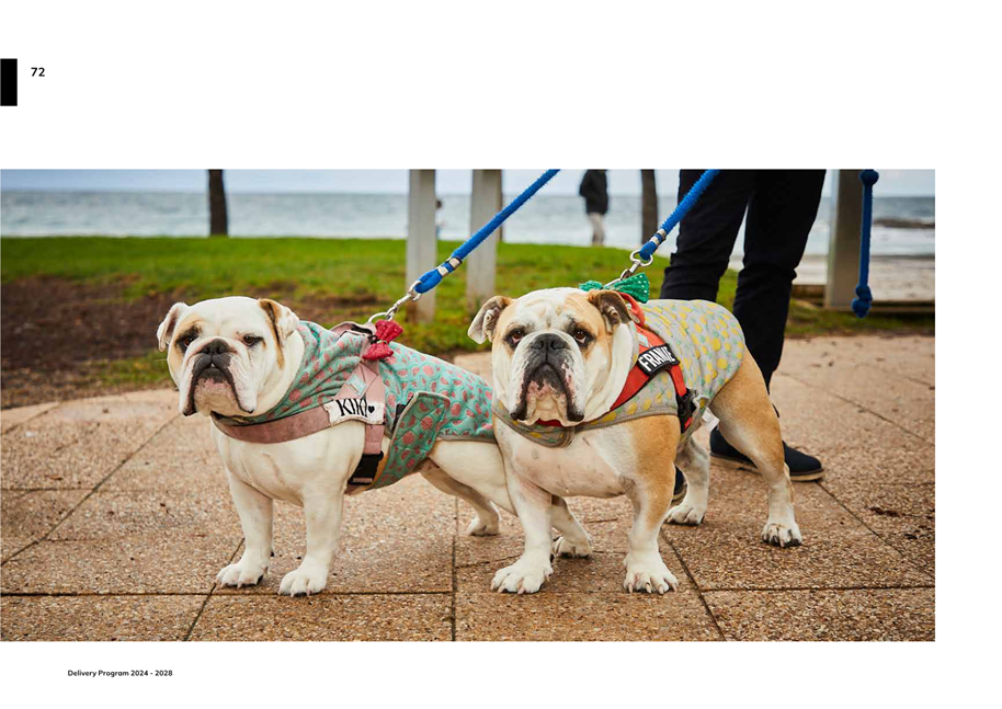 Two dogs on leashes on a walk

Description automatically generated